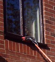 Filtered water to the brush